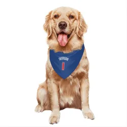 Detroit Pistons Allen Iverson Blue Pet Bandana for Dog & Cat