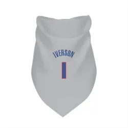 Detroit Pistons Allen Iverson Gray Pet Bandana for Dog & Cat
