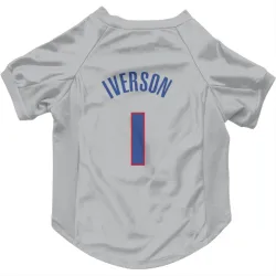 Detroit Pistons Allen Iverson Gray Pet Jersey for Dog & Cat