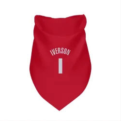 Detroit Pistons Allen Iverson Red Pet Bandana for Dog & Cat