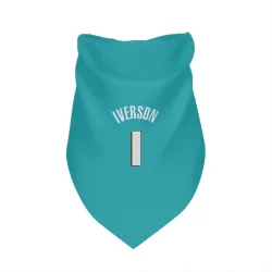 Detroit Pistons Allen Iverson Teal Pet Bandana for Dog & Cat