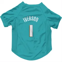 Detroit Pistons Allen Iverson Teal Pet Jersey for Dog & Cat