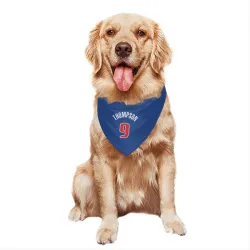 Detroit Pistons Ausar Thompson Blue Pet Bandana for Dog & Cat