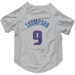Detroit Pistons Ausar Thompson Gray Pet Jersey for Dog & Cat