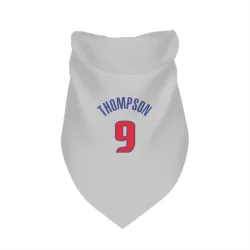 Detroit Pistons Ausar Thompson White Pet Bandana for Dog & Cat