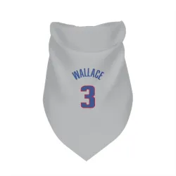 Detroit Pistons Ben Wallace Gray Pet Bandana for Dog & Cat