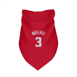 Detroit Pistons Ben Wallace Red Pet Bandana for Dog & Cat