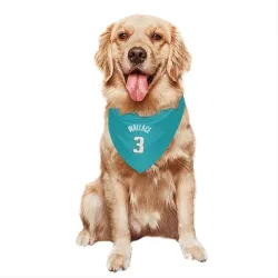 Detroit Pistons Ben Wallace Teal Pet Bandana for Dog & Cat
