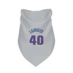 Detroit Pistons Bill Laimbeer Gray Pet Bandana for Dog & Cat