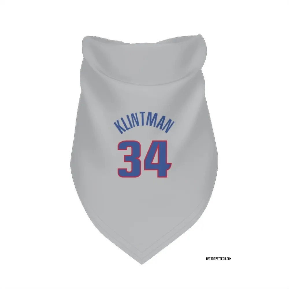 Detroit Pistons Bobi Klintman Gray Pet Bandana for Dog & Cat