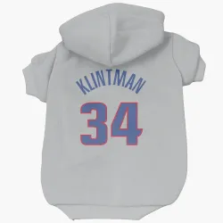 Detroit Pistons Bobi Klintman Gray Pet Hoodie for Dog & Cat