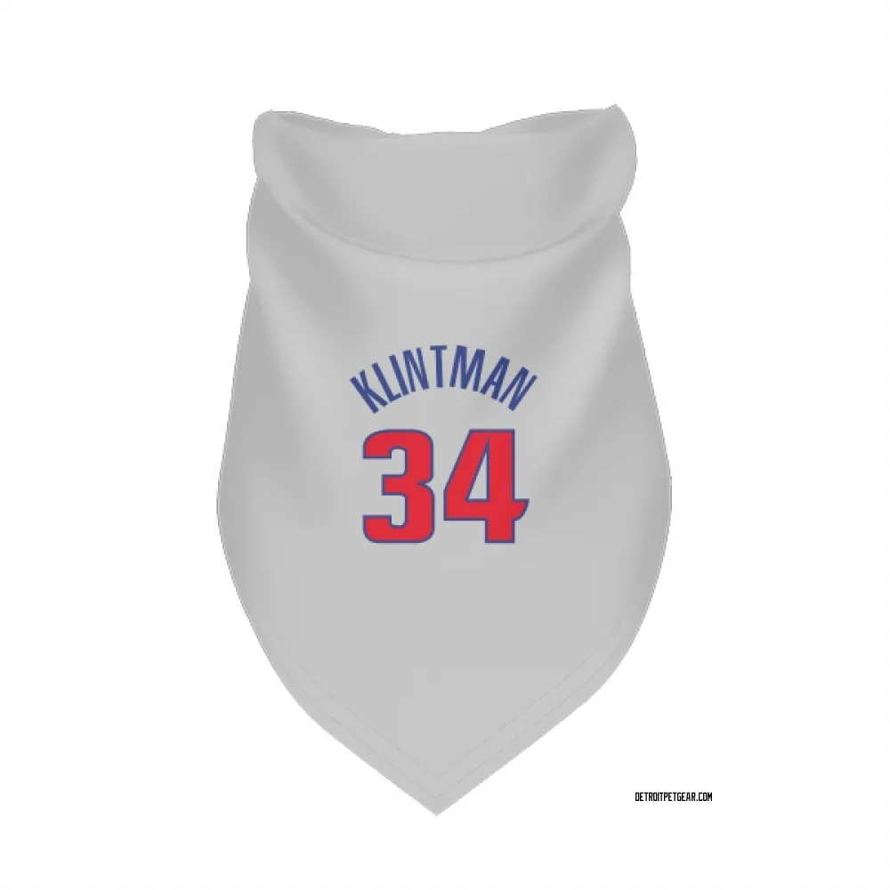 Detroit Pistons Bobi Klintman White Pet Bandana for Dog & Cat