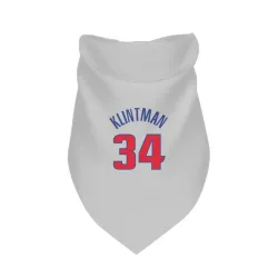 Detroit Pistons Bobi Klintman White Pet Bandana for Dog & Cat