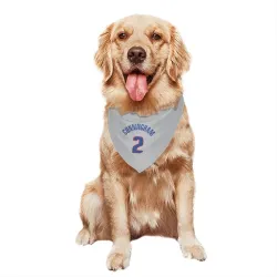 Detroit Pistons Cade Cunningham Gray Pet Bandana for Dog & Cat