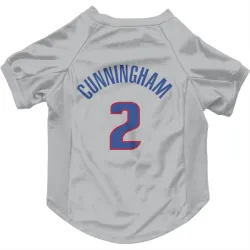 Detroit Pistons Cade Cunningham Gray Pet Jersey for Dog & Cat