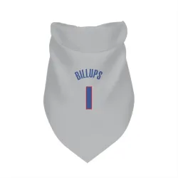 Detroit Pistons Chauncey Billups Gray Pet Bandana for Dog & Cat