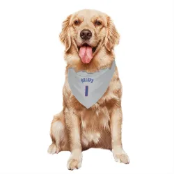 Detroit Pistons Chauncey Billups Gray Pet Bandana for Dog & Cat