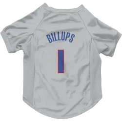 Detroit Pistons Chauncey Billups Gray Pet Jersey for Dog & Cat