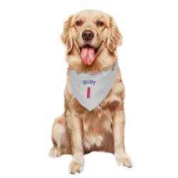 Detroit Pistons Chauncey Billups White Pet Bandana for Dog & Cat