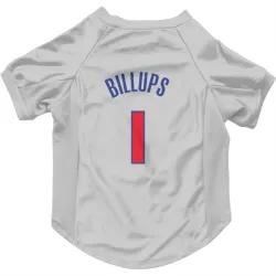 Detroit Pistons Chauncey Billups White Pet Jersey for Dog & Cat