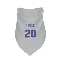 Detroit Pistons Chaz Lanier Gray Pet Bandana for Dog & Cat