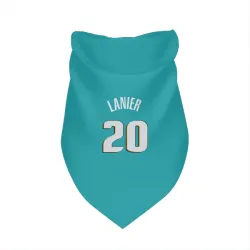 Detroit Pistons Chaz Lanier Teal Pet Bandana for Dog & Cat