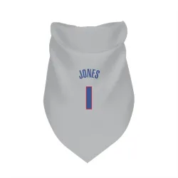 Detroit Pistons Colby Jones Gray Pet Bandana for Dog & Cat