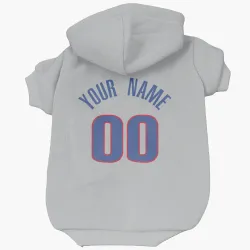 Detroit Pistons Custom Gray Pet Hoodie for Dog & Cat
