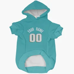 Detroit Pistons Custom Teal Pet Hoodie for Dog & Cat