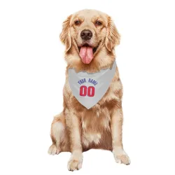 Detroit Pistons Custom White Pet Bandana for Dog & Cat