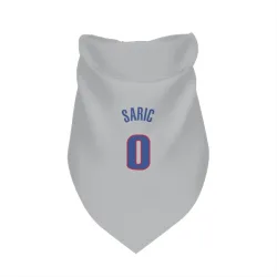 Detroit Pistons Dario Saric Gray Pet Bandana for Dog & Cat
