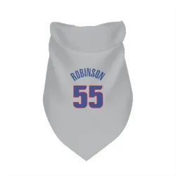 Detroit Pistons Duncan Robinson Gray Pet Bandana for Dog & Cat
