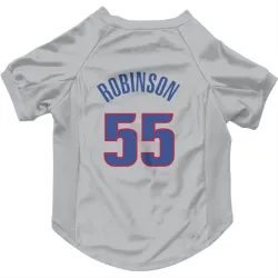 Detroit Pistons Duncan Robinson Gray Pet Jersey for Dog & Cat