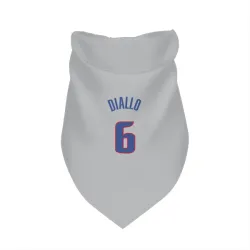 Detroit Pistons Hamidou Diallo Gray Pet Bandana for Dog & Cat