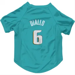 Detroit Pistons Hamidou Diallo Teal Pet Jersey for Dog & Cat