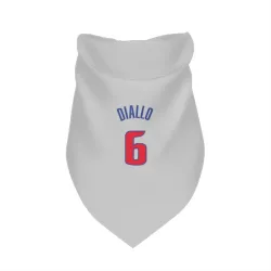 Detroit Pistons Hamidou Diallo White Pet Bandana for Dog & Cat