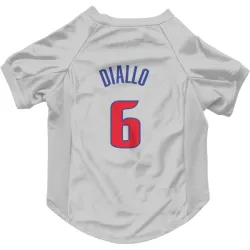 Detroit Pistons Hamidou Diallo White Pet Jersey for Dog & Cat