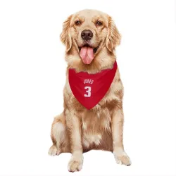 Detroit Pistons Isaac Jones Red Pet Bandana for Dog & Cat