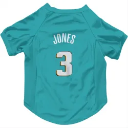 Detroit Pistons Isaac Jones Teal Pet Jersey for Dog & Cat