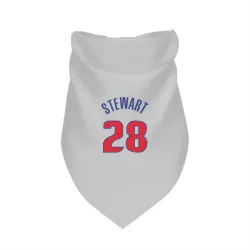 Detroit Pistons Isaiah Stewart White Pet Bandana for Dog & Cat