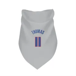 Detroit Pistons Isiah Thomas Gray Pet Bandana for Dog & Cat