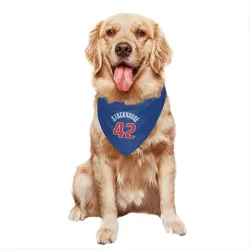 Detroit Pistons Jerry Stackhouse Blue Pet Bandana for Dog & Cat