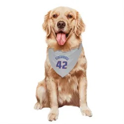 Detroit Pistons Jerry Stackhouse Gray Pet Bandana for Dog & Cat