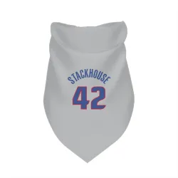 Detroit Pistons Jerry Stackhouse Gray Pet Bandana for Dog & Cat
