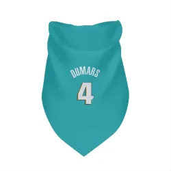 Detroit Pistons Joe Dumars Teal Pet Bandana for Dog & Cat