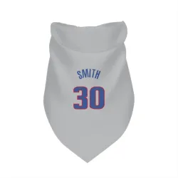 Detroit Pistons Joe Smith Gray Pet Bandana for Dog & Cat