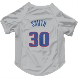 Detroit Pistons Joe Smith Gray Pet Jersey for Dog & Cat