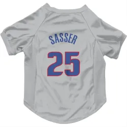 Detroit Pistons Marcus Sasser Gray Pet Jersey for Dog & Cat
