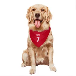 Detroit Pistons Paul Reed Red Pet Bandana for Dog & Cat