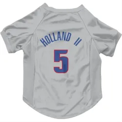 Detroit Pistons Ronald Holland II Gray Pet Jersey for Dog & Cat